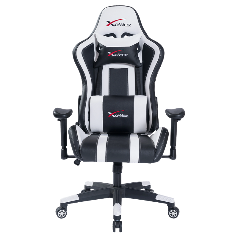RX-2028 Adjustable Reclining Multi-Functional Gaming Chair
