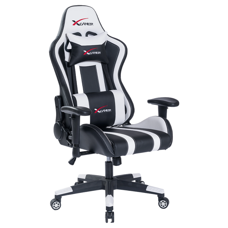 RX-2028 Adjustable Reclining Multi-Functional Gaming Chair